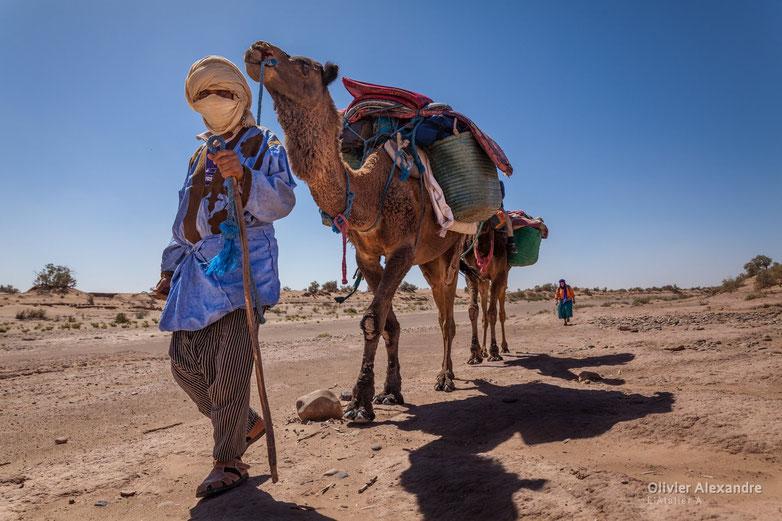 Balade en dromadaire dans le désert d'Agafay à Marrakech