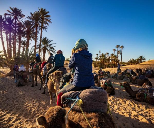 Expériences locales et typiques marocaines à Marrakech